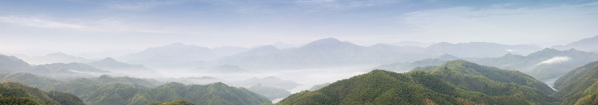 _企業(yè)資質(zhì)_關(guān)于我們_深圳市三綠園林實業(yè)有限公司